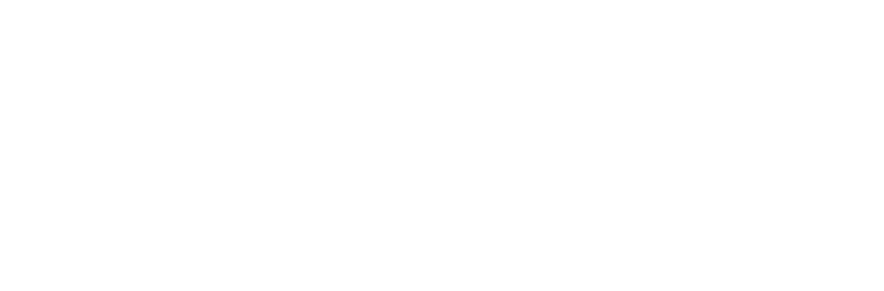 AI Forum New Zealand